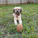 Entry image for Laya Ayri