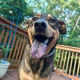 Entry image for Earl