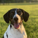 Entry image for Ginny