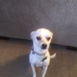 Entry image for Isabella