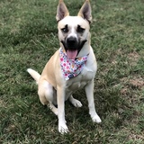 Entry image for Malala