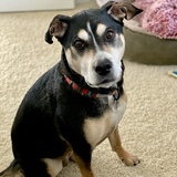 Entry image for Charlee 