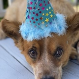 Entry image for Shiloh