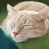 Entry image for Isaac