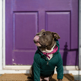 Entry image for Meatball