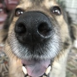 Entry image for Maggie