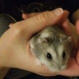 Entry image for Banksy