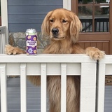 Entry image for Cooper