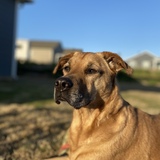 Entry image for Chloe