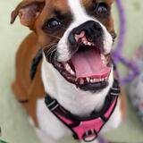 Entry image for Rayna Grace