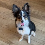 Entry image for Booker