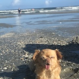 Entry image for Lucy