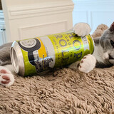 Entry image for Rory