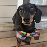 Entry image for Roscoe Ray