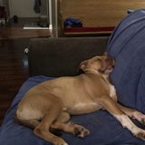 Entry image for Ranger Rick