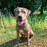 Entry image for Benny