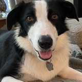 Entry image for Luna…tic