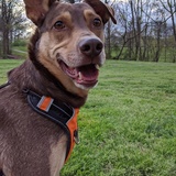 Entry image for Mulder