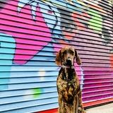 Entry image for Penny