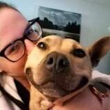 Entry image for Ellen