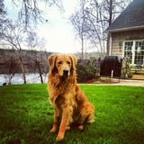 Entry image for Miller