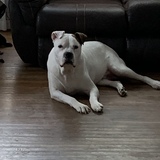 Entry image for Leroy Brown 