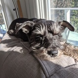 Entry image for Cooper