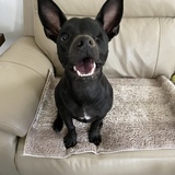 Entry image for Una K. Furman