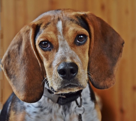 Entry image for Colby. Clicking this image will show a larger photo