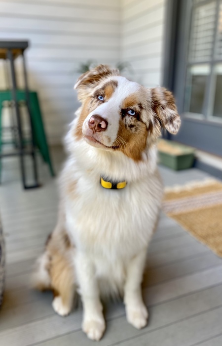 Entry image for Moira. Clicking this image will show a larger photo