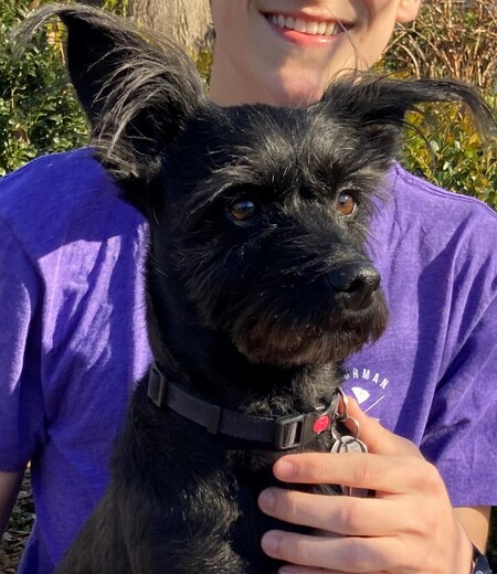 Entry image for Bruce. Clicking this image will show a larger photo