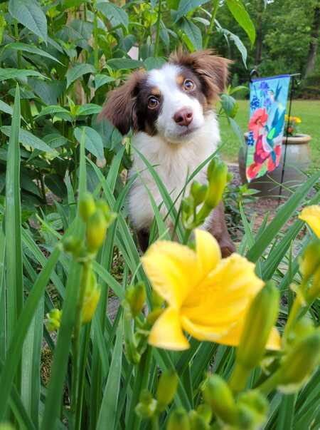 Entry image for Bébé. Clicking this image will show a larger photo