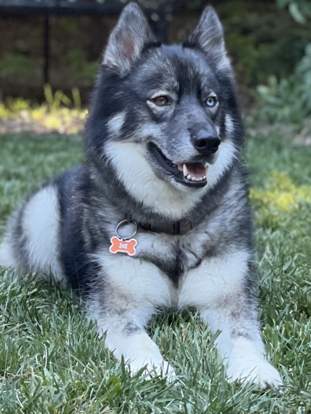 Entry image for Luke. Clicking this image will show a larger photo