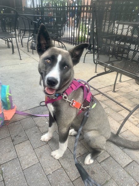 Entry image for Gnarly Phillips . Clicking this image will show a larger photo