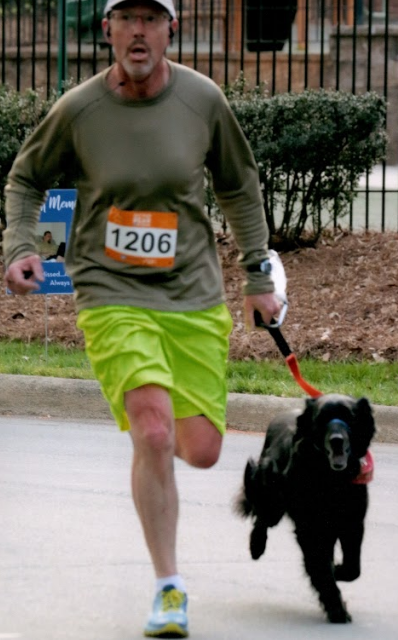 Entry image for Black Jack. Clicking this image will show a larger photo