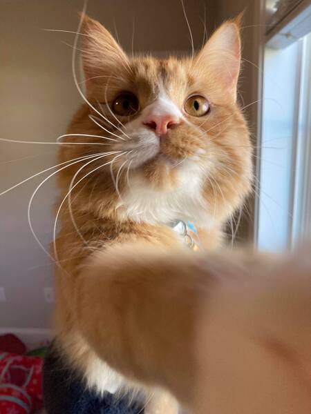 Entry image for Eugene. Clicking this image will show a larger photo