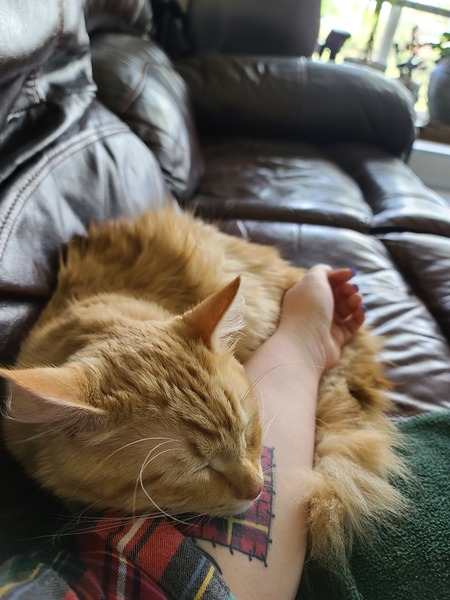 Entry image for Ben. Clicking this image will show a larger photo