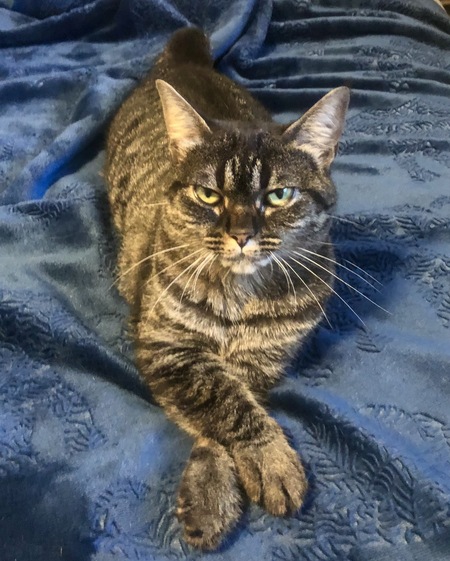 Entry image for Zukie. Clicking this image will show a larger photo