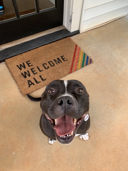 Entry image for Meatball. Clicking this image will show a larger photo