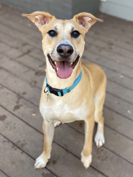 Entry image for Tanner. Clicking this image will show a larger photo