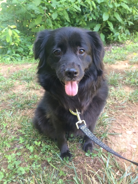 Entry image for Kody. Clicking this image will show a larger photo