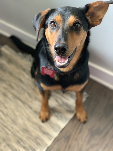 Entry image for Chuck. Clicking this image will show a larger photo