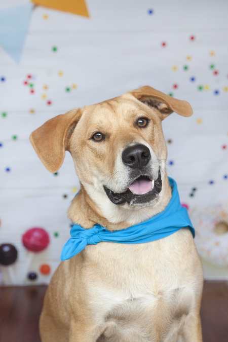 Entry image for Walter William Whitaker. Clicking this image will show a larger photo