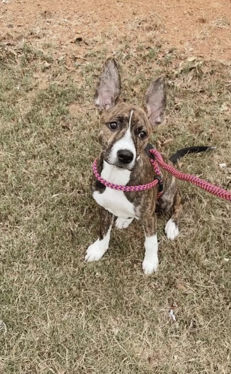 Entry image for Chanel Grasty. Clicking this image will show a larger photo