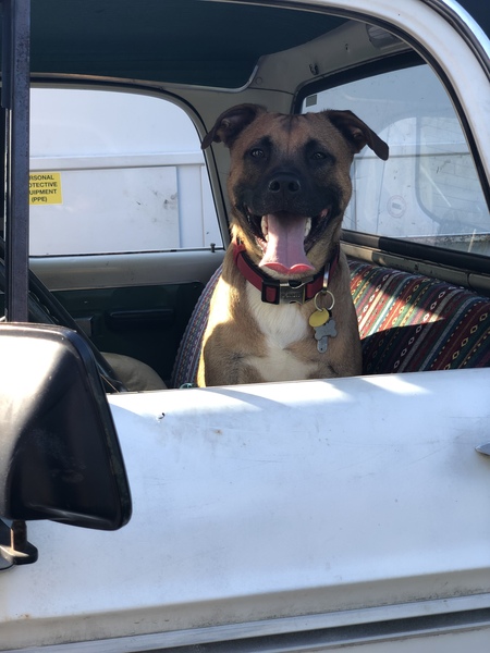 Entry image for Zeppelin. Clicking this image will show a larger photo