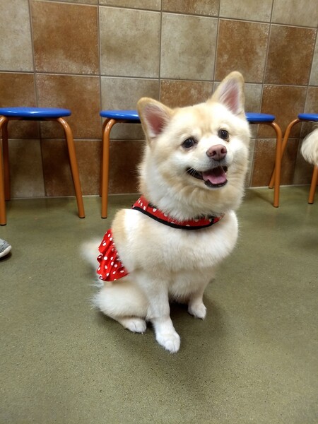 Entry image for Emma. Clicking this image will show a larger photo