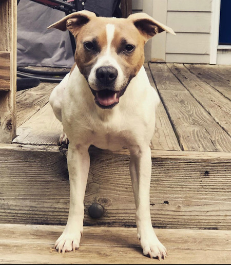 Entry image for Kali. Clicking this image will show a larger photo