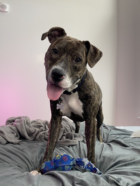 Entry image for Kodak. Clicking this image will show a larger photo