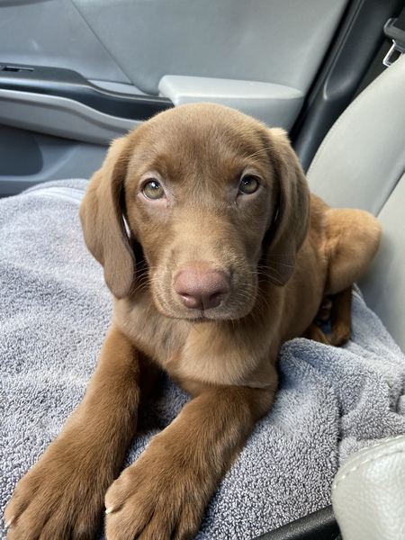 Entry image for Mya. Clicking this image will show a larger photo