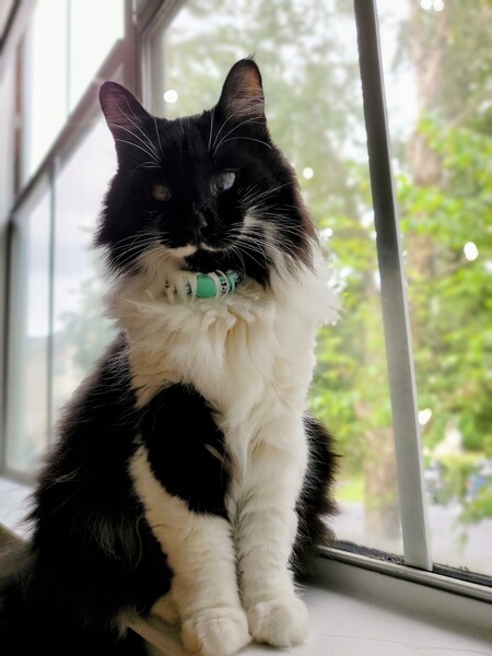 Entry image for Omar. Clicking this image will show a larger photo